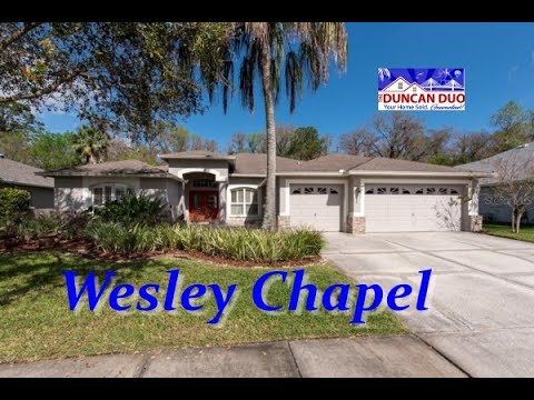 28826 FALLING LEAVES WAY, Wesley Chapel, FL home video tour