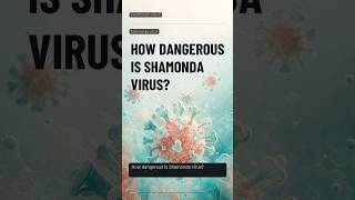 How dangerous is Shamonda virus — What is Shamonda virus Is it dangerous