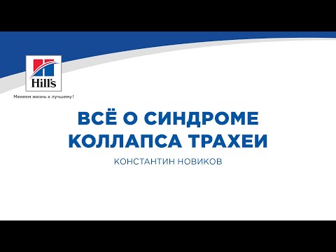 Вебинар на тему: «Всё о синдроме коллапса трахеи». Лектор - Константин Новиков.