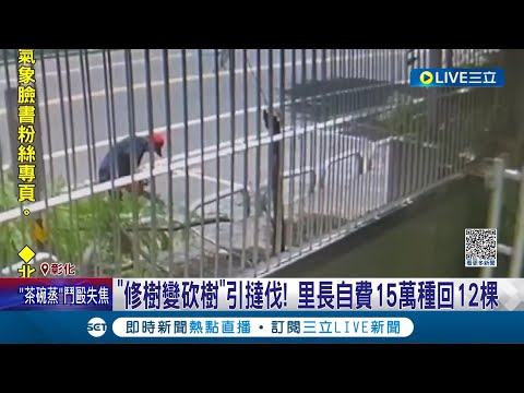 "修樹變砍樹"引撻伐! 里長以修剪為理由"斷頭砍樹" 引發民眾撻伐 里長自費15萬種回12棵│記者 許書維 陳逸潔 林韋志│【LIVE大現場】20231013│三立新聞台