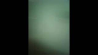 Culo