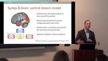 "The cortical organization of syntax", William Matchin