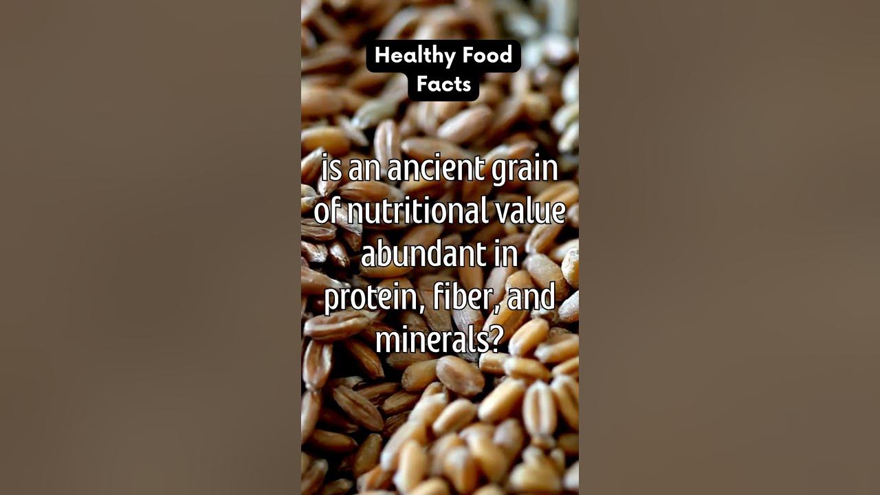 kamut-ancient-grain-of-nutritional-value-shorts-fitandwell