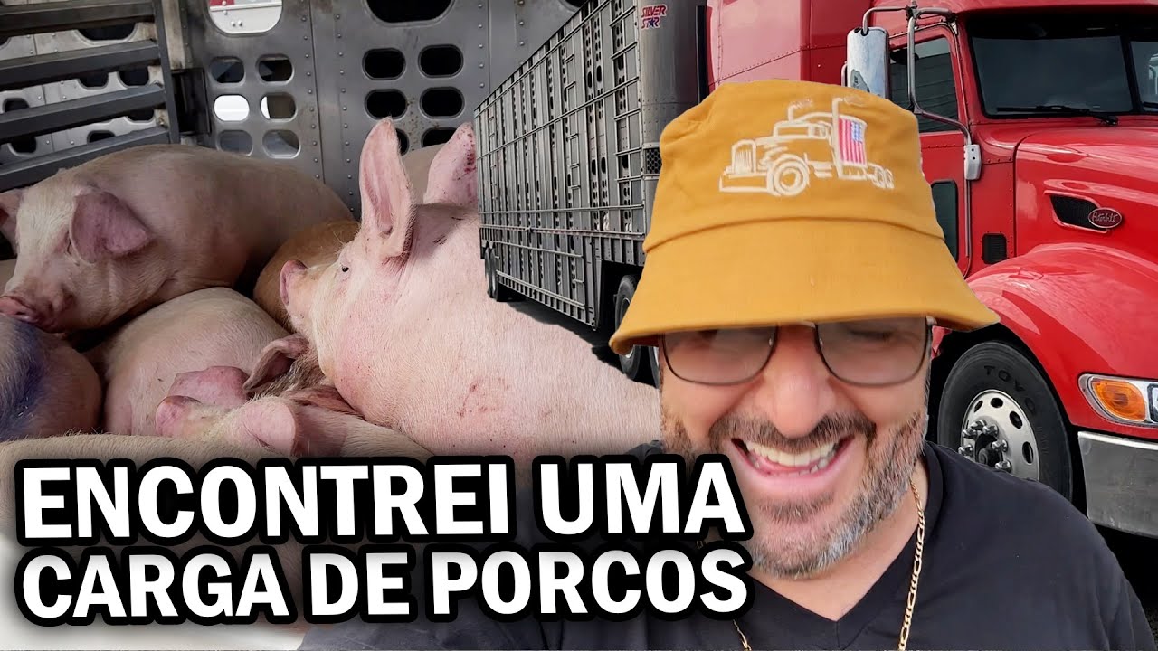 ENCONTREI UMA CARGA DE PORCO(comprei um porquinho 🐷)🇺🇸