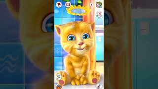 Download Lagu Cat sound meo meo 😂😂 Amazing cat voice MP3 Download Lagu Cat sound meo meo 😂😂 Amazing cat voice MP3