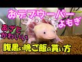 おデブウーパーよもぎのご飯シーン盗撮※あざとかわいい女子ウーパーのご飯の貰い方【ウーパールーパー飼育】
