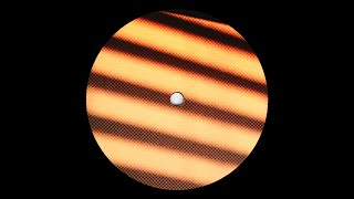 He Did - Cafe Negro