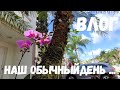 США Влог Наш день / Педиатр /В Магазин / На кухне / Вечерний релакс...