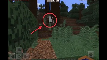 finding ENTITY 505 in Minecraft!!!!! (Addon)