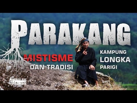 Video: Bagaimanakah serigala bersandar hitam memburu?