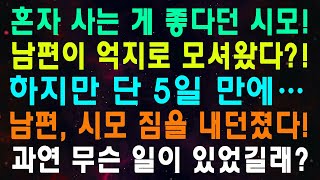 혼자 사는 게 좋다던 시모! 남편이 억지로 모셔왔다! 하지만 단 5일 만에… 남편, 시모 짐을 내던졌다! 과연 무슨 일이 있었길래