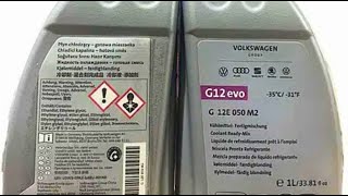 Which Coolant Is Right for VAG Cars? | G11 vs G12 vs G13 Explained! 🚘