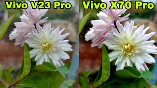 Vivo V23 Pro Vs Vivo X70 Pro Camera Test