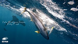 【チリ共和国】絶海の孤島”ロビンソンクルーソー島”でヒラマサを狙う