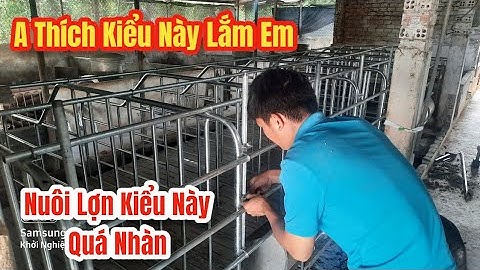 Cách Làm Chuồng Nuôi Lợn Hậu Bị Cải Tiến Giá Rẻ | Khởi Nghiệp TV