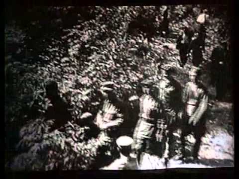 Специальный репортаж: О чем шумит Усакинский лес