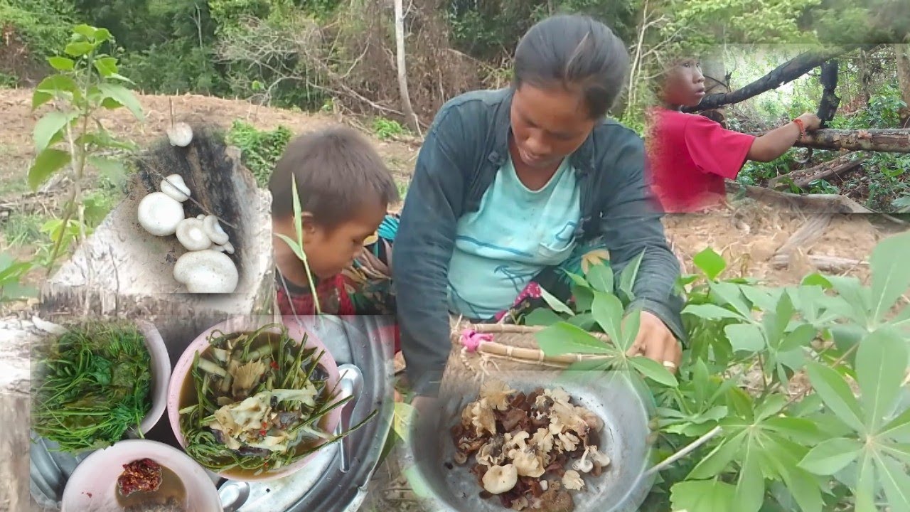 24 พฤษภาคม ค.ศ. 2024