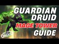 Guardian Druid Mage Tower Guide The War Within 4k World Of Warcraft Guardian Druid Mage Tower Guide The War Within 4k World Of Warcraft