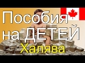 ХАЛЯВА в Канаде №1. $16260 в ГОД на ДЕТЕЙ $💲$ #12