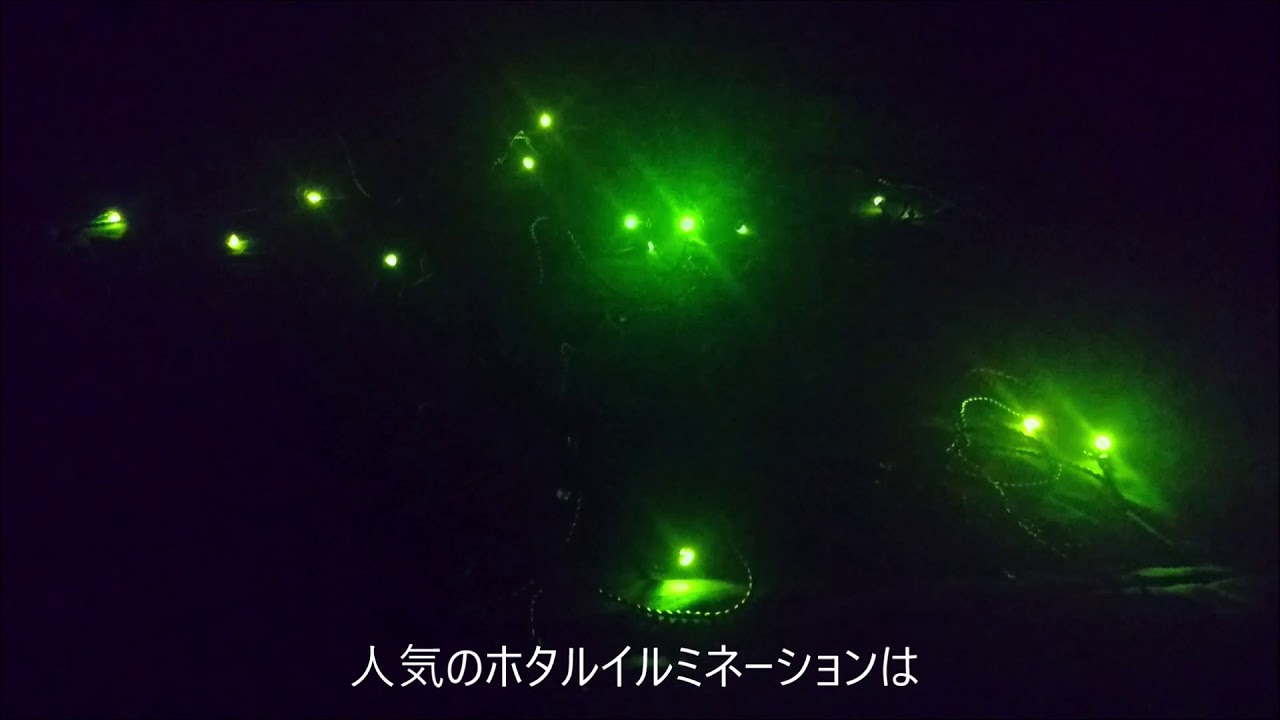 蛍のひかり 蛍ライト ほたるイルミネーション 手振れが激しくて申し訳ございません Youtube 蛍のひかり 蛍ライト ほたるイルミネーション 手振れが激しくて申し訳ございません Youtube