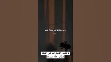 قرآن كريم راحة نفسية، تلاوة خاشعة، أكتب شيئ تؤجر عليه 🤲🏻 🤍 🤍
