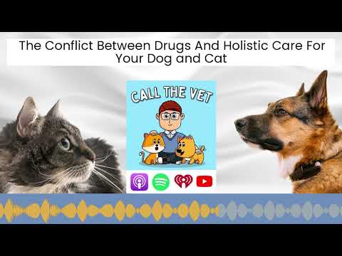 The Conflict Between Drugs And Holistic Care For Your Dog and Cat