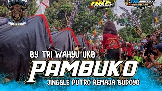 DJ BANTENGAN ( PAMBUKO ) PUTRO REMAJA BUDOYO BY TRI WAHYU UKB