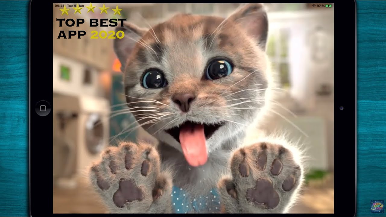 Little Kitten - Adventures - Take care of your pet kitty! TOP Cute Cat