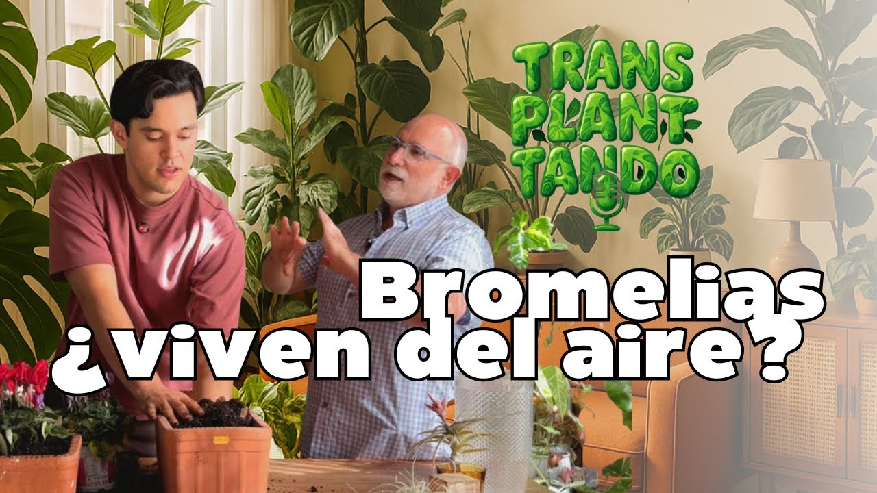 13 Transplantando con BromeliaBCN | El vivero que está revolucionando la jungla urbana