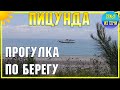 ПИЦУНДА 🌴  Прогулка по берегу | Субтропический курорт