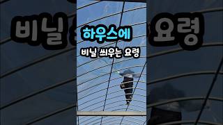 이제 비닐만 씌우면 돼!!#하우스시공 #하우스비닐씌우기