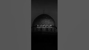 اكتب شيء تؤجر عليه 😴🤍 قران كريم | ياسر الدوسري