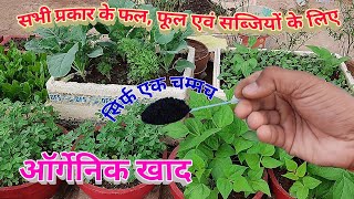 मेरे गार्डेन का राज सिर्फ एक चम्मच organic fertilizer and pesticide