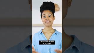 Download Lagu How to Avoid DHA Deficiency on a Vegan or Plant Based Diet MP3 Download Lagu How to Avoid DHA Deficiency on a Vegan or Plant Based Diet MP3