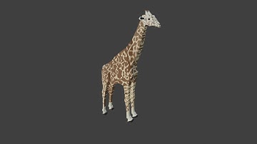 Masai/Kilimanjaro Giraffe Modeling In Blender 3.0.1 Timelapse
