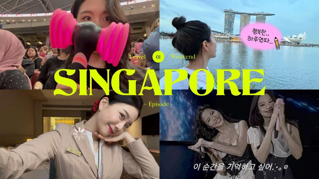 싱가폴 갔다가 싱가폴 근데 블랙핑크 콘서트를 곁들인 .. 💖🖤11월의 행복기록 .. 📝
