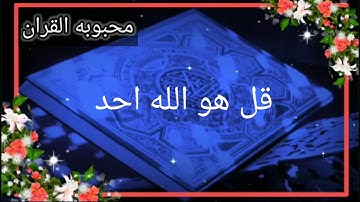 حالات واتساب قرآن سوره الاخلاص 😍❤❤