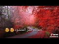 حبك عندي مالو حدود نجوى كرم 