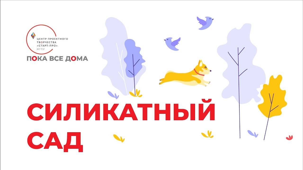 Старт-ПРО. Пока все дома. Силикатный сад - YouTube