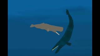 blue whale vs sperm whale | dc2 animation |