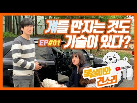 [반려동물 매개 상담교실] 복실이와 견소리  1강 l 개와 친해지는 방법!