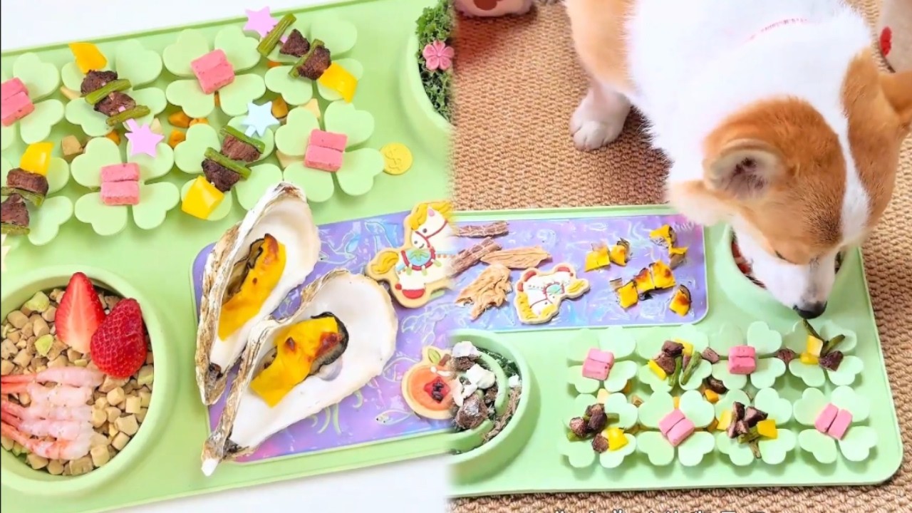 🌱谁研究的这个吃法~人来了也舔不干净 #萌宠出道计划 #狗狗配餐 #狗狗