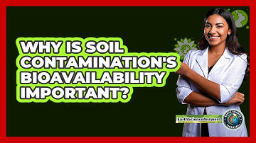 Why Is Soil Contamination