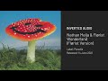 Thumbnail for Nathan Melja & Flørist - Wonderland (Flørist Version) [Parodia]