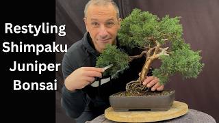 Juniper Bonsai Transformation 🌿 Dramatic Before & After | Wiring, Pruning & Styling Techniques