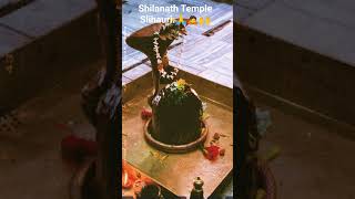 #youtube#reel #shortsvideo Slihauri Temple. 🙏🙇🙌