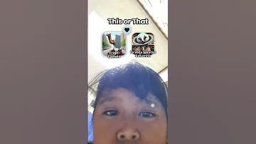 13 Agustus 2025 
