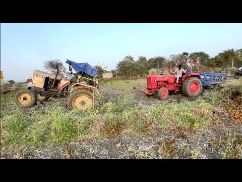 Part -2 | एक ट्रॉली नही खीच पा रहे ये ट्रैक्टर Mahindra 575 Di Failed Eicher 242 pulling out