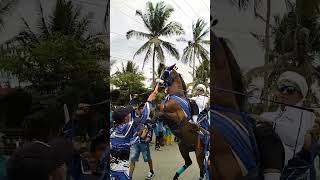 Atraksi Kuda BIMA #arakarakan #kudajingkrakpurworejo #arakarakankuda  #kudajingkrak