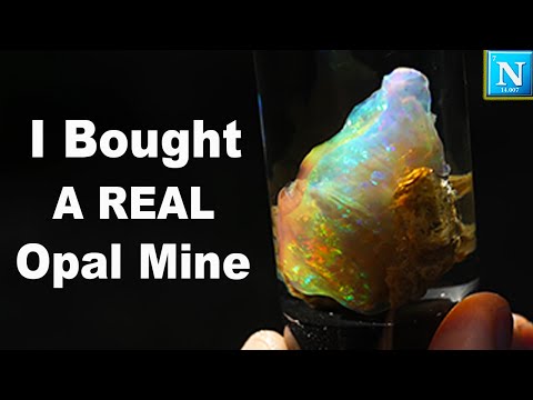 I Bought an OPAL MINE !!